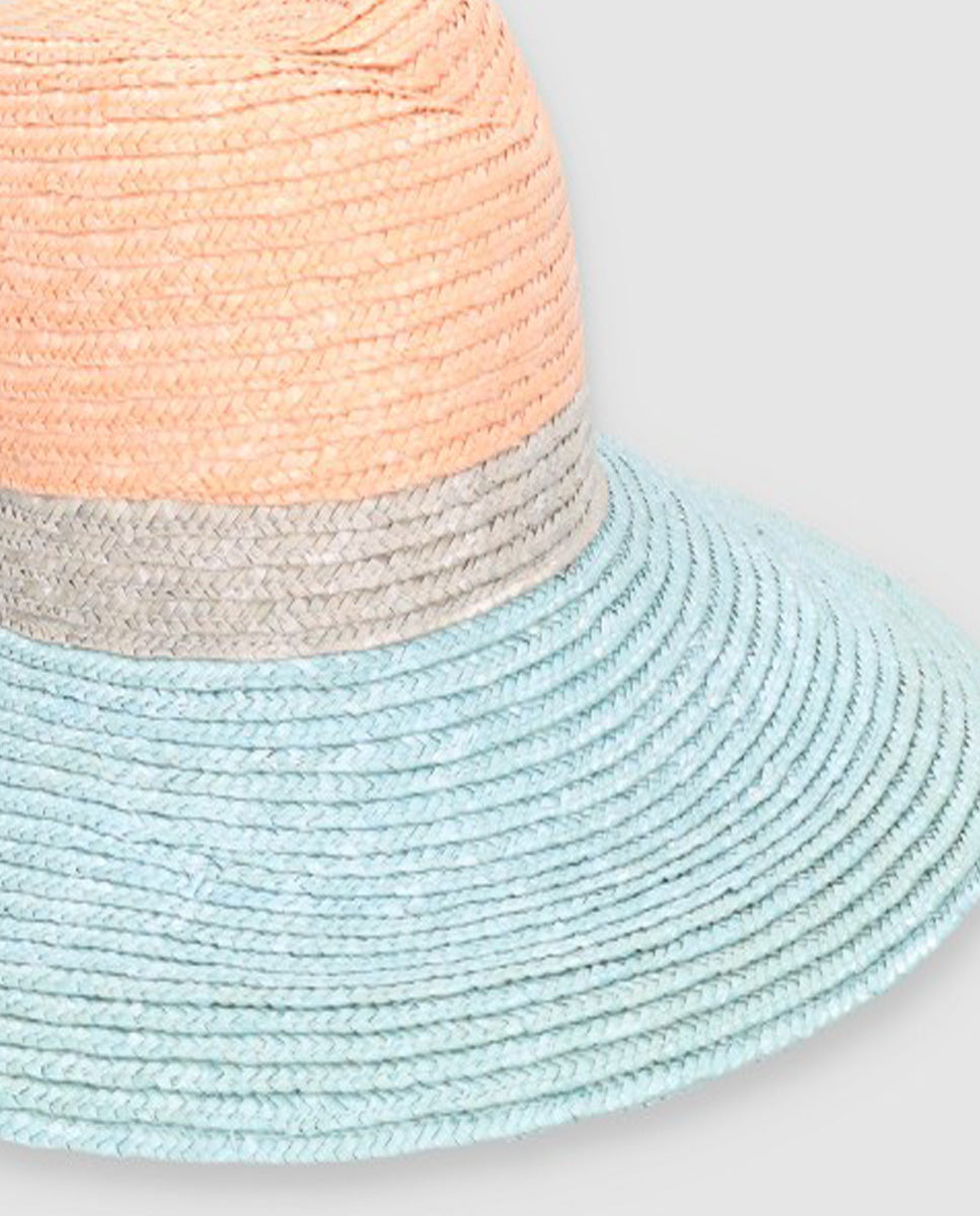 Sombrero Beetle tricolor