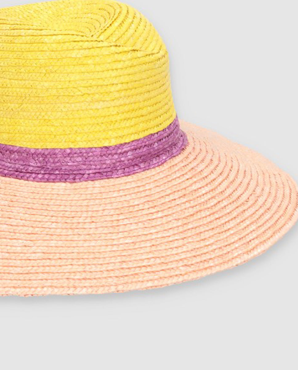 Sombrero Beetle tricolor