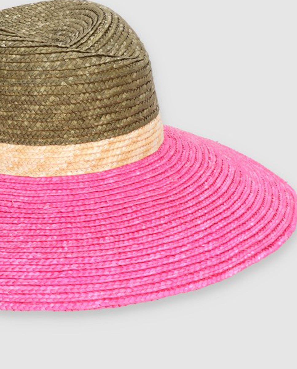 Sombrero Beetle tricolor