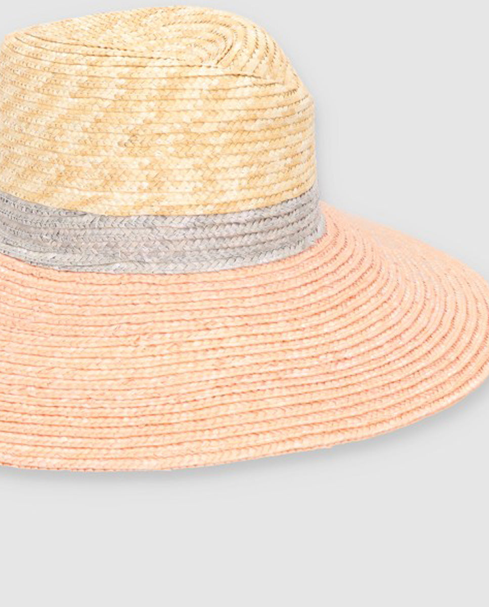 Sombrero Beetle tricolor