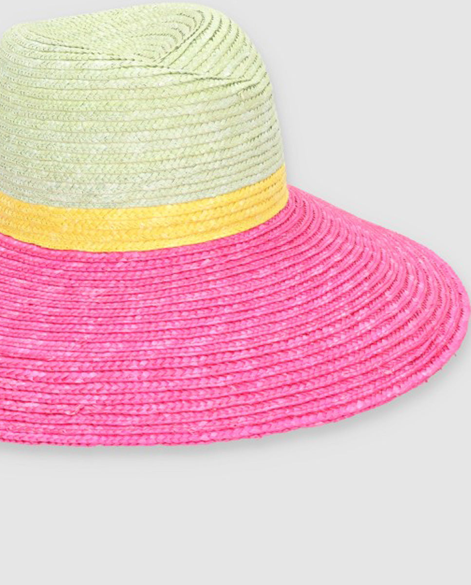 Sombrero Beetle tricolor