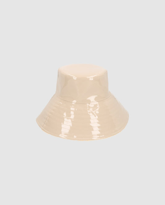 Charolito sahara  ala L