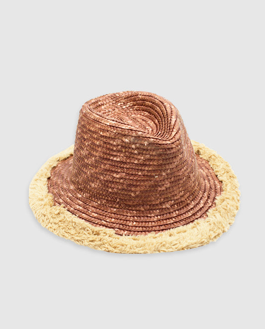 Frozen Brown Fedora Hat