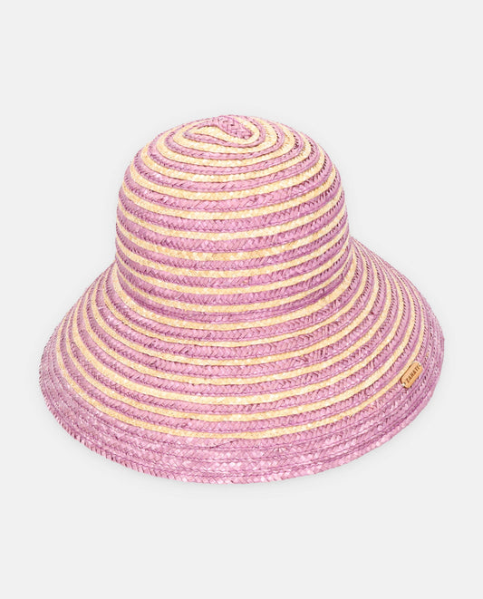 champignon spirale violet